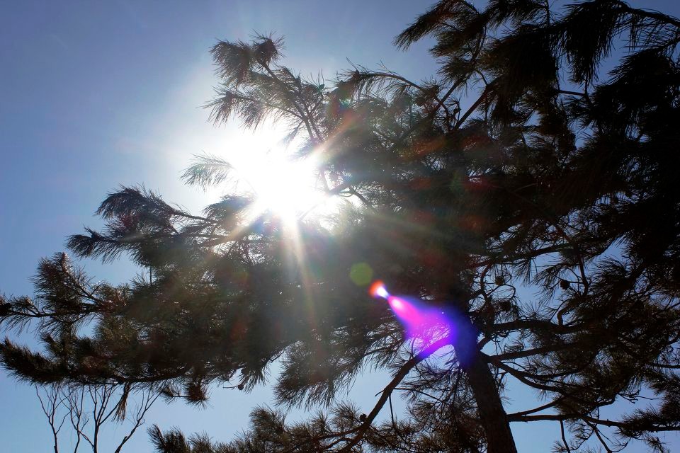 头晕怎么判断是什么原因引起的,头晕是什么原因引起的早期症状