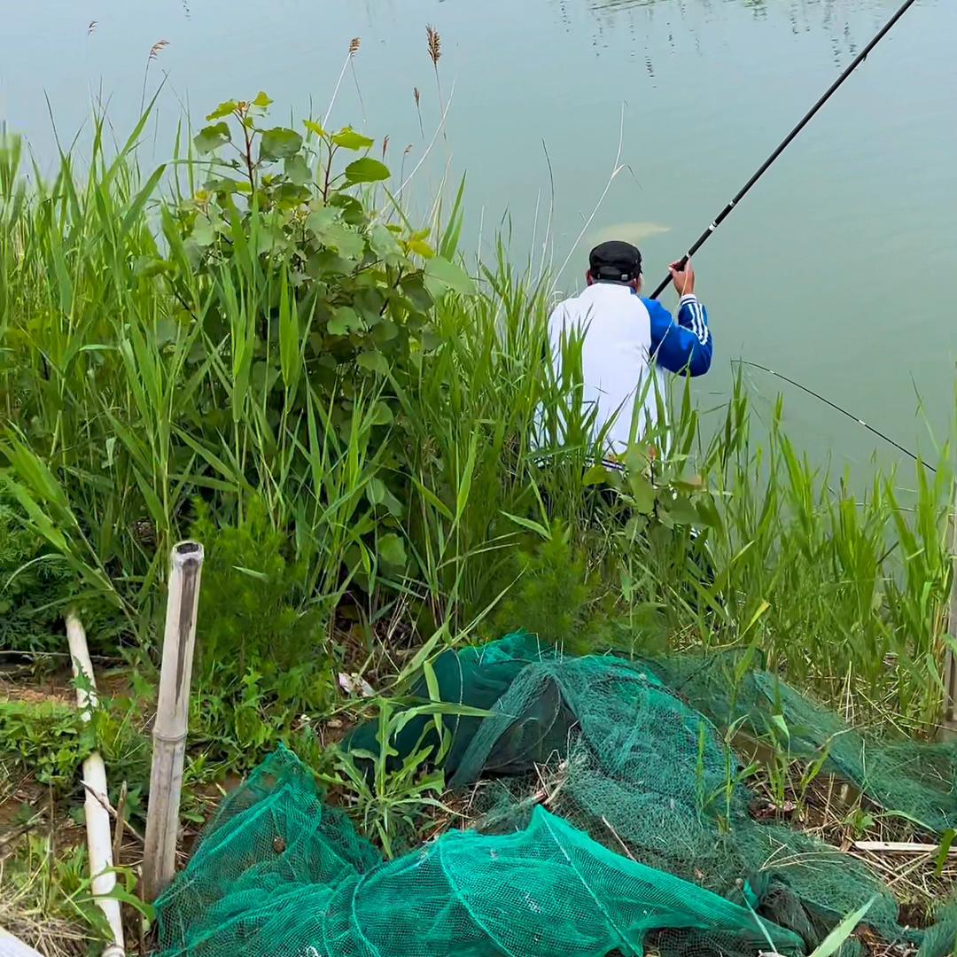 休闲野钓小钩细线遇大鲤鱼#新手垂钓技巧