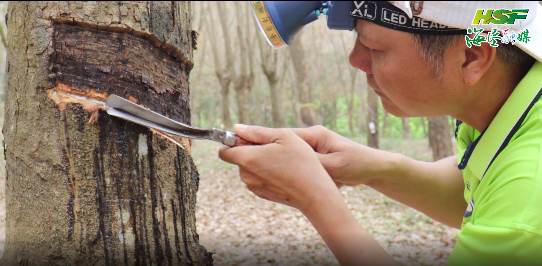 美国对华武器禁运是多少年开始的,美国对华军事禁运是哪一年