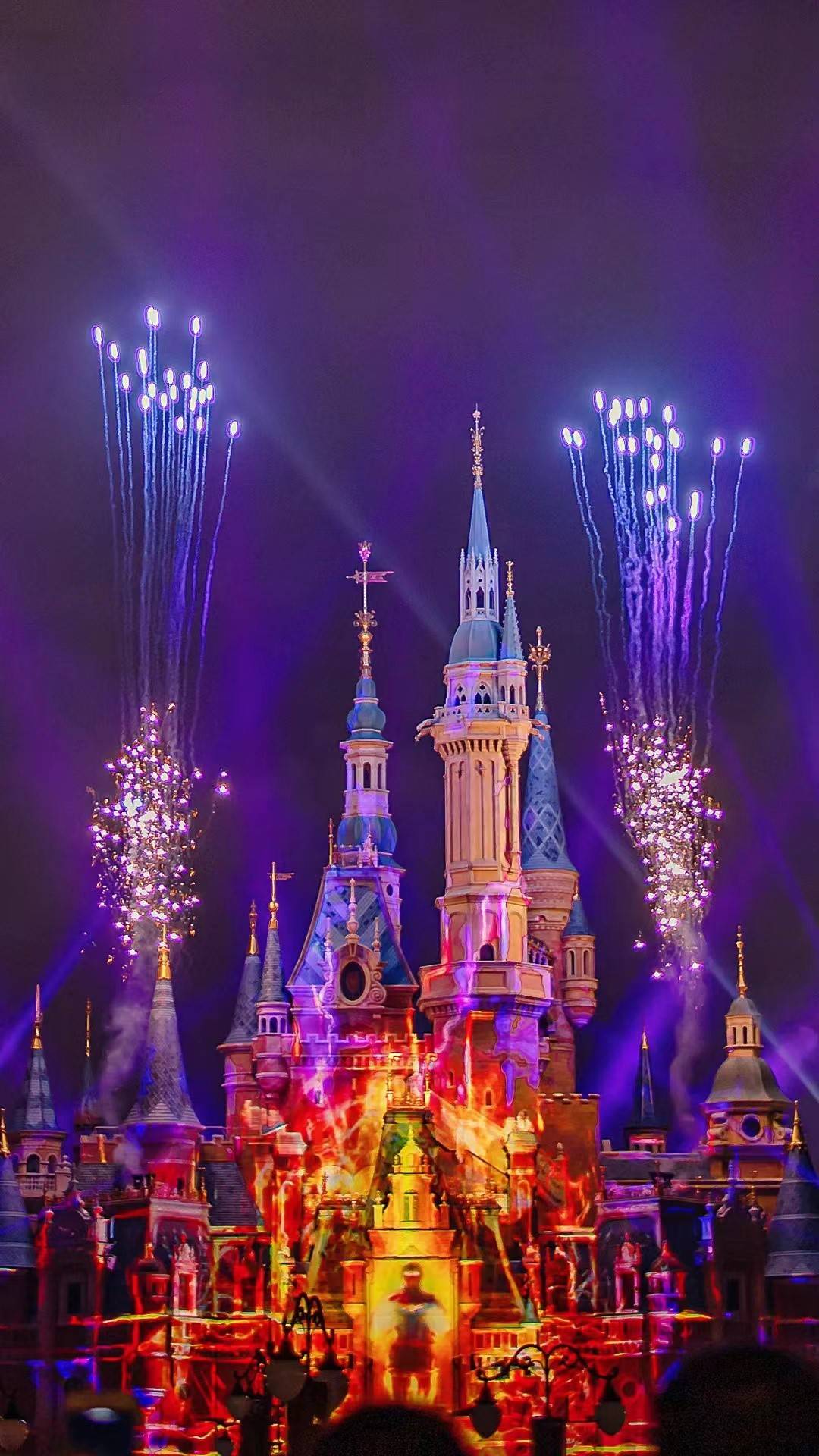 围困迪士尼：买500个暖贴凌晨排队站不住借轮椅憋到尿血被网暴