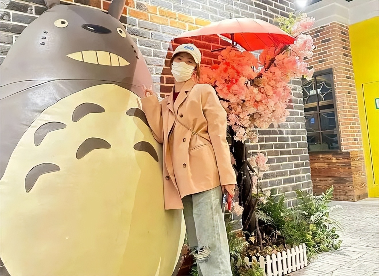 他们还是选择回到太平洋房屋！