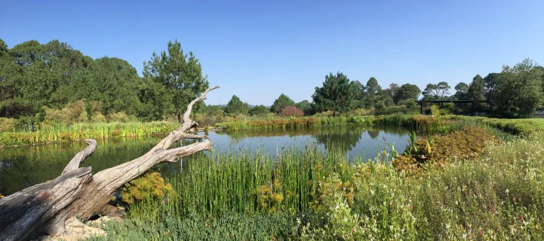 archdaily2023年度全球标志性建筑,archdaily2023大奖名单