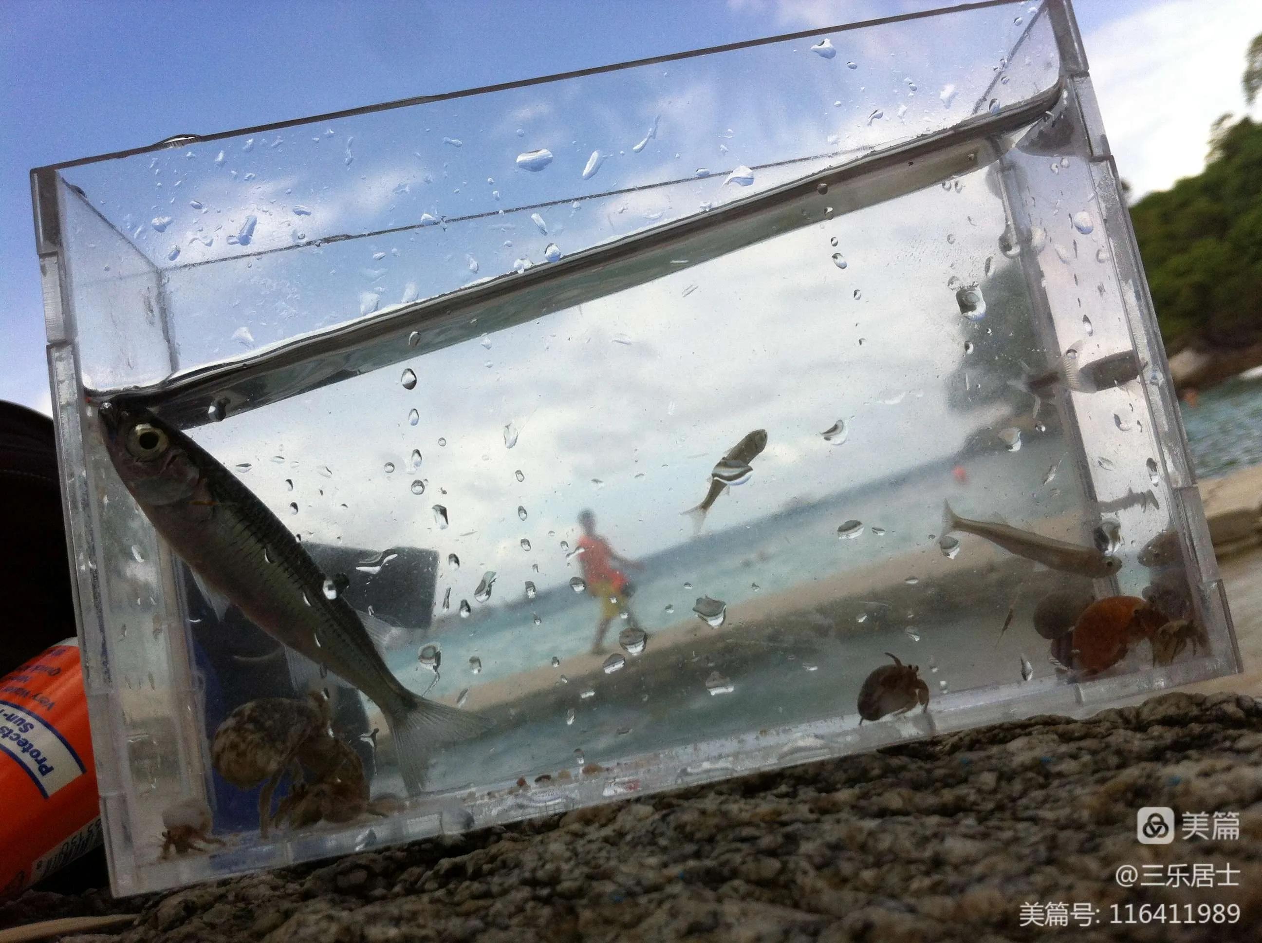 普吉岛到曼谷怎么玩,泰国普吉岛曼谷游记