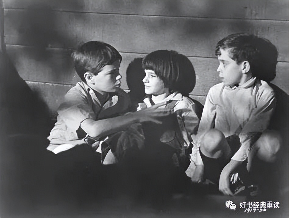 杀死一只知更鸟读懂人生,愿你有杀死一只知更鸟的勇气