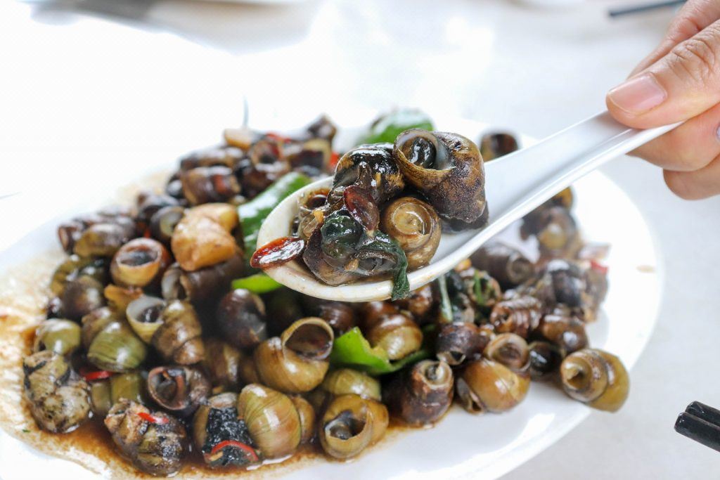 清远笔架山缘舍,清远笔架山缘舍山庄订房