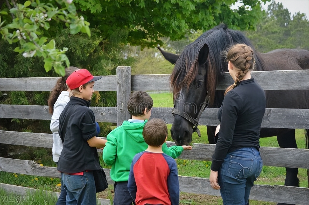 自闭症马术训练课程,马术与孤独症