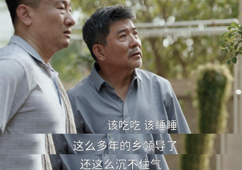 县委大院幕后故事王骁,王骁任程伟