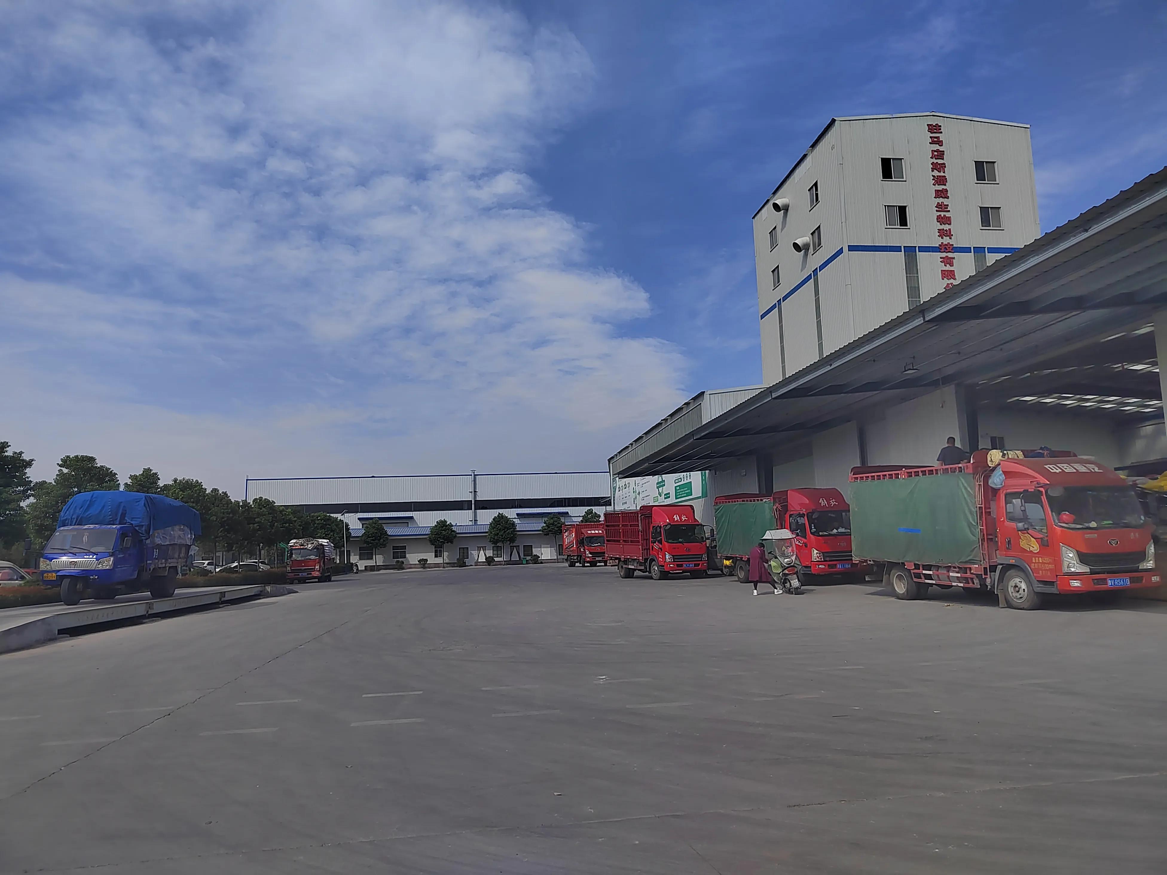 养猪赚近1000亿,养猪利润100万