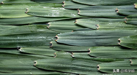 粽子想要香味浓郁牢记三点,新鲜出炉的粽子还没来得及吃上