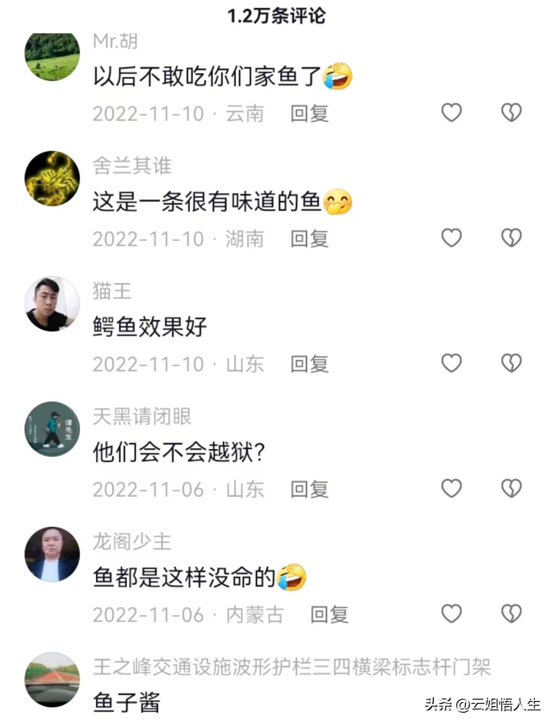 湖南女子喂养500斤大鱼当作宠物,女子养500斤大鱼当宠物视频