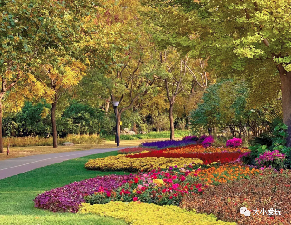 银杏最美的地方,这九个美丽的地方你想去看看吗