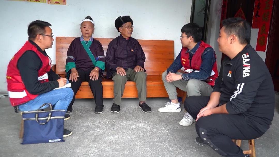 广西种茶一年能赚多少钱,广西种植茶叶增收