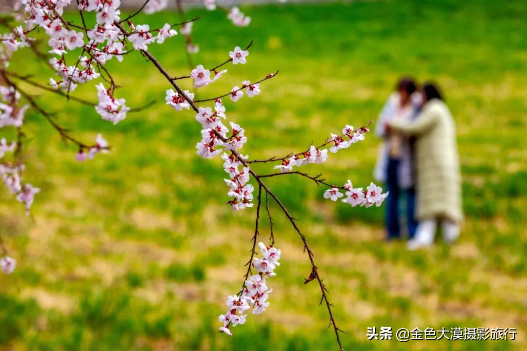 3月份去西藏林芝,3-4月去西藏林芝好玩吗