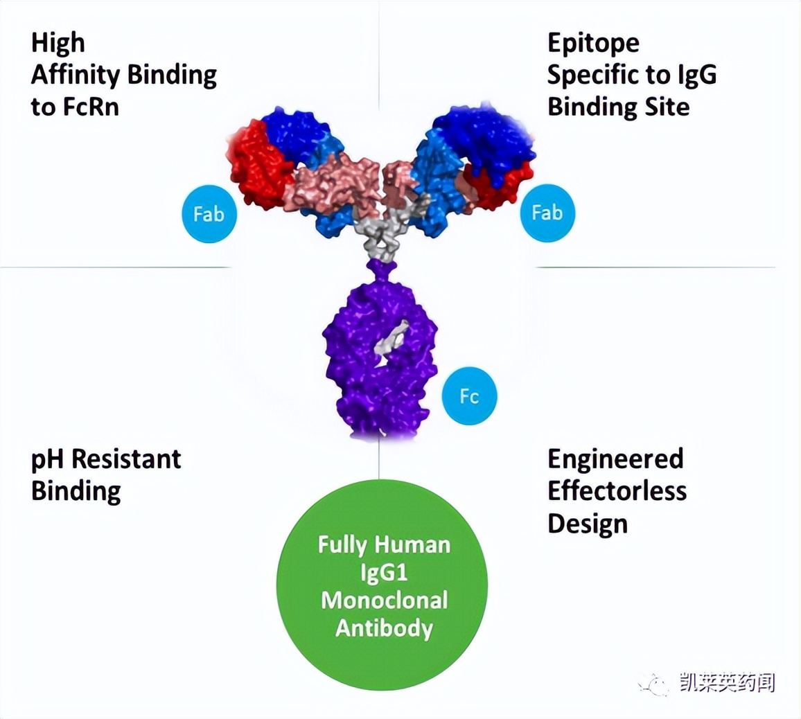 tcr免疫治疗最新进展,100多种自身免疫疾病