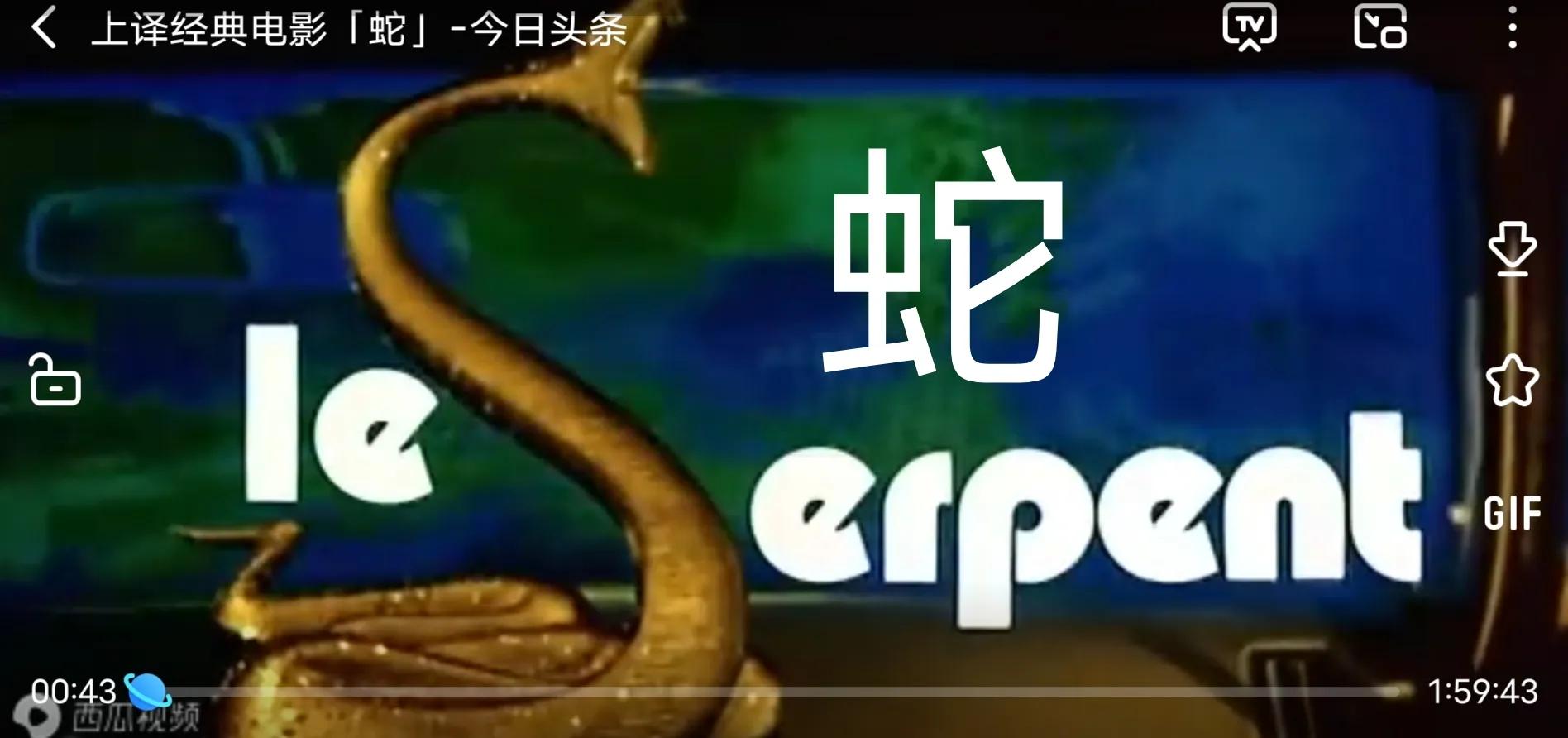 法国电影蛇内容简介,法国电影蛇高清版完整版