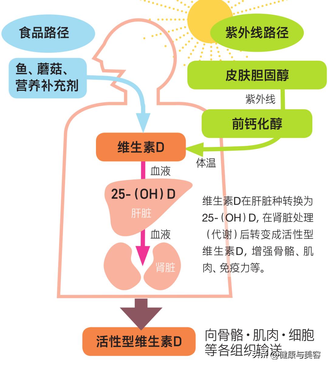 虽然物质很重要但真心更是无价,缺乏维生素d的如何用膳食补充