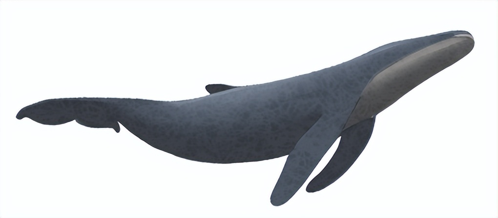 在韩国出生的山东大姨，从美国回来寻根