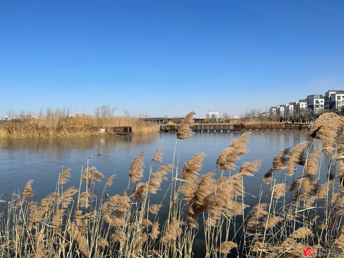 常务副市长作政府工作报告,市政府市长工作报告