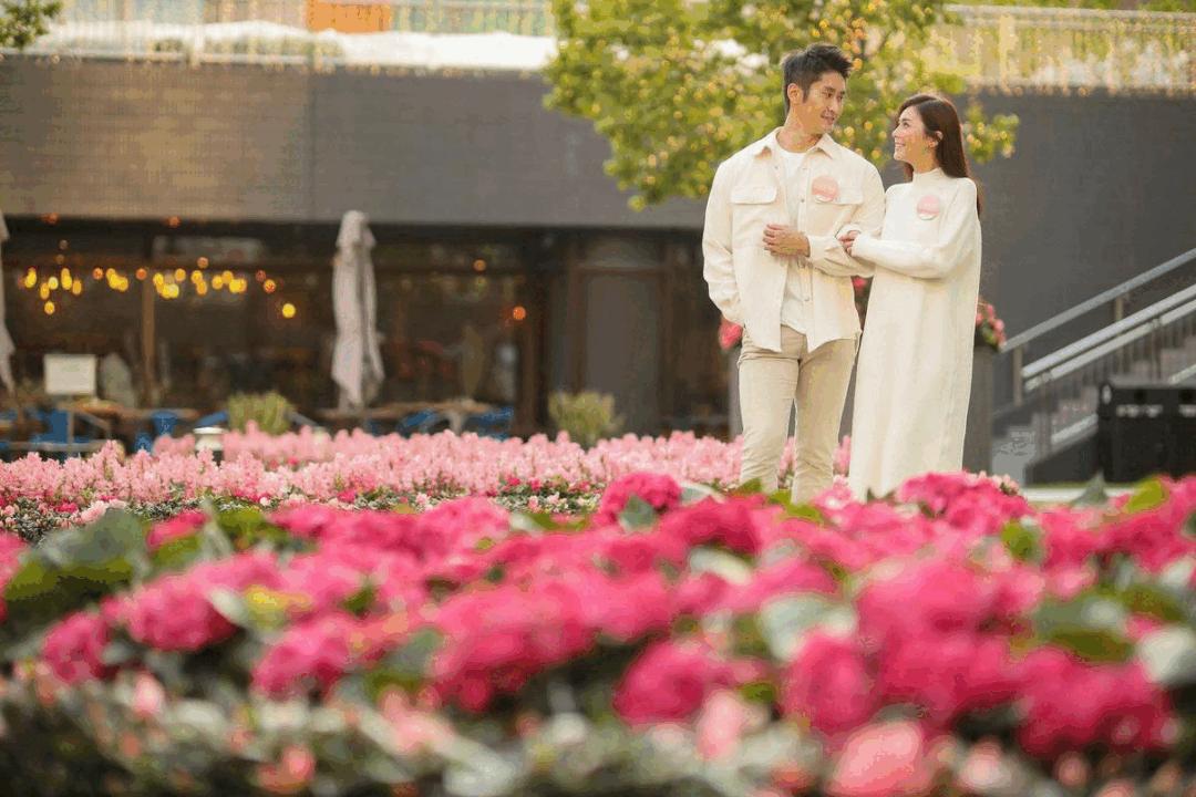 3年，终于等到香港通关！