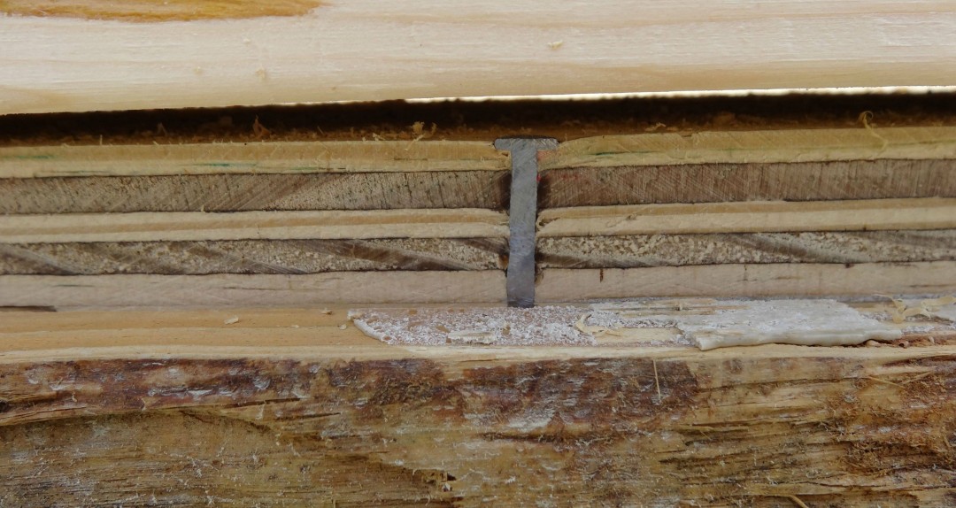 60样东西，切成一半，让你看得一清二楚