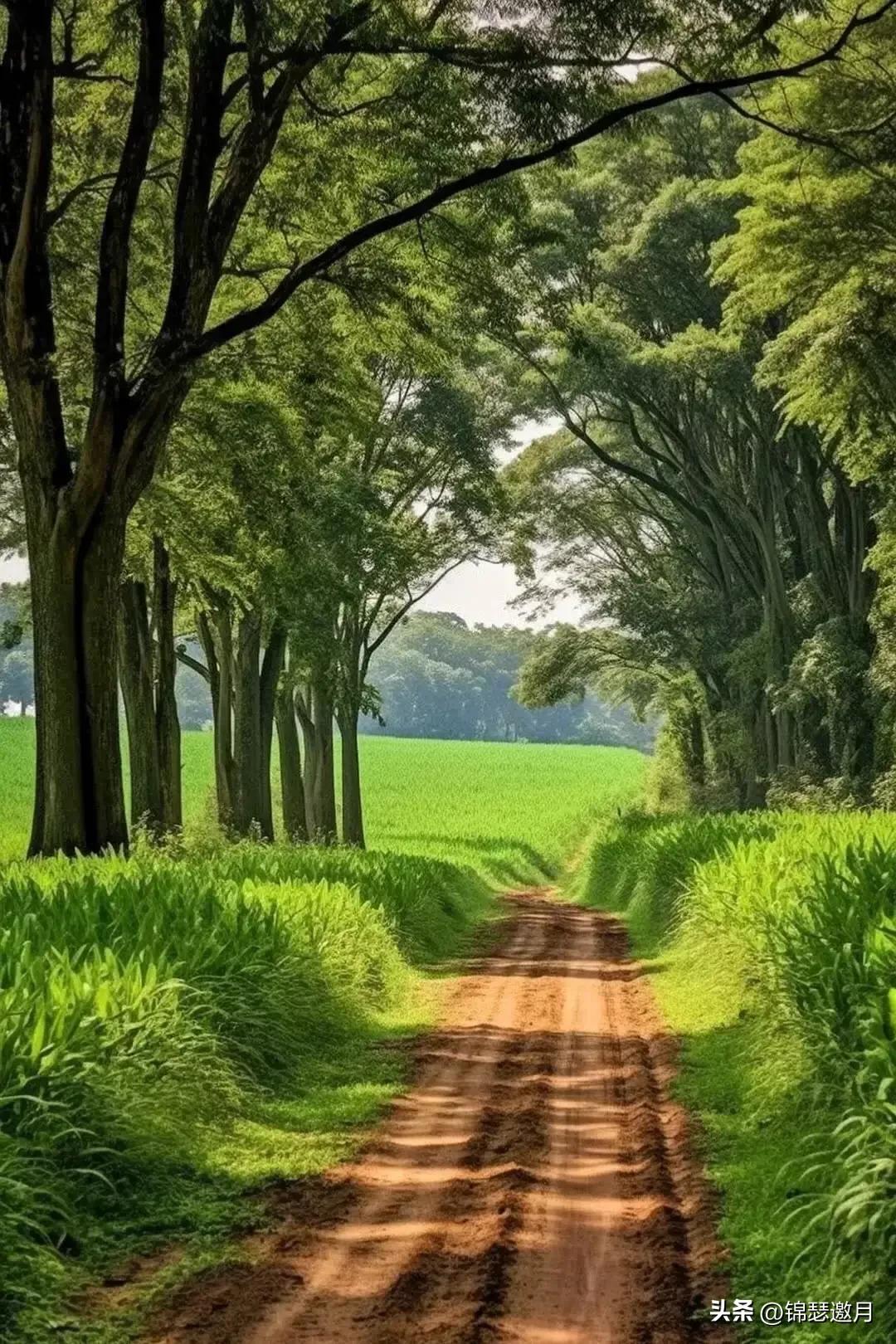 乡村田园风光图片,田园风光风景图片