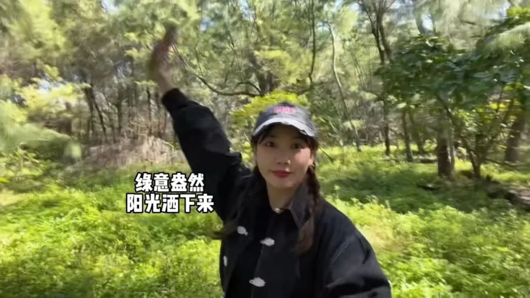 中国女子在日本买下70万平小岛，60万起拍，网友：羡慕极了