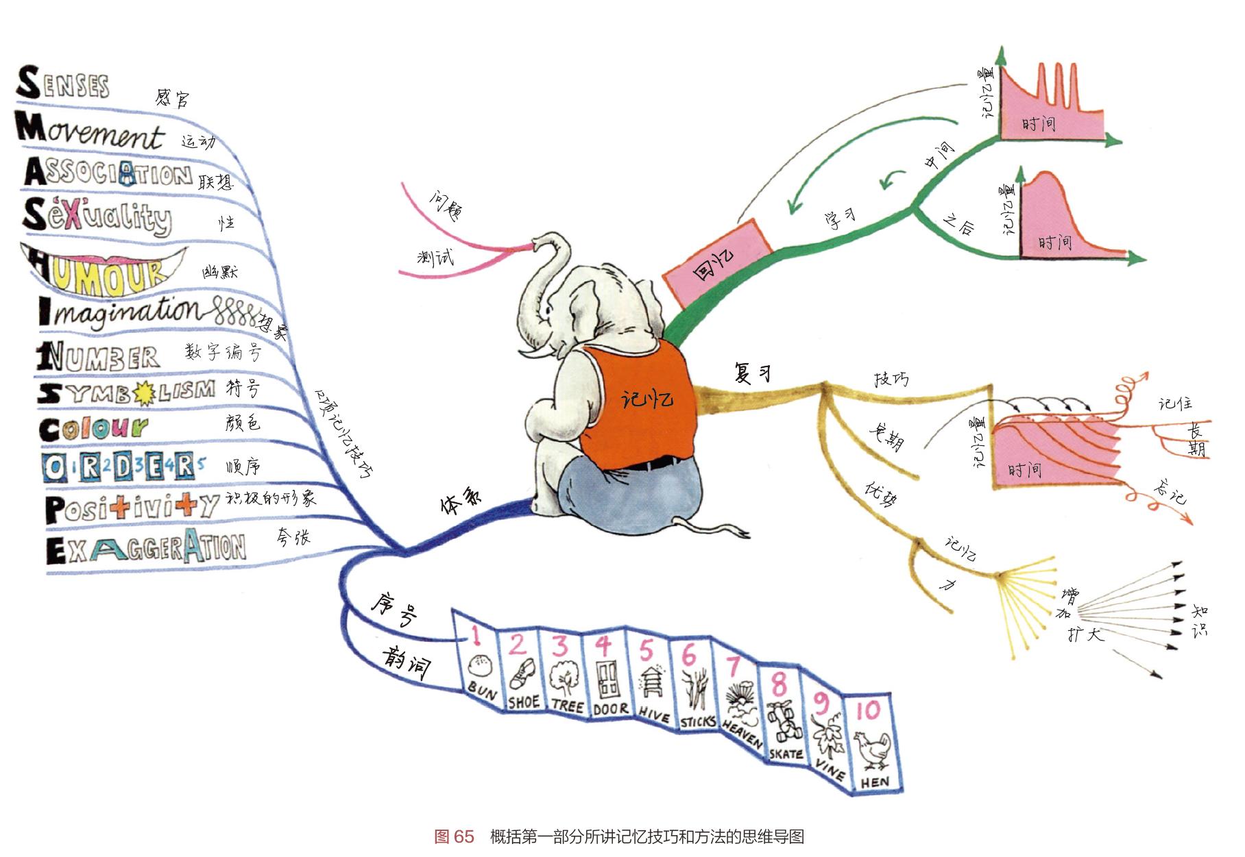 这才是该有的样子思维导图,思维导图你真的写对了吗