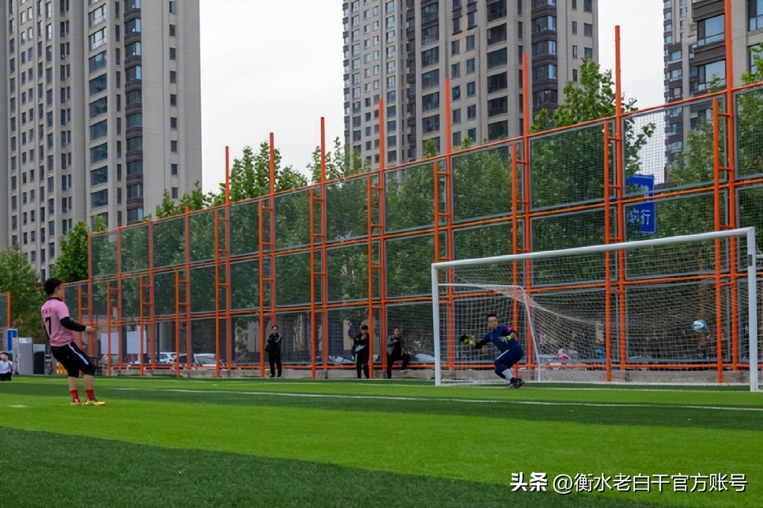 衡水老白干篮球赛,衡水老白干篮球杯