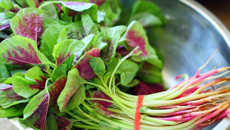 小满将至，新手在家，这6种菜放心种，易种活还不用打农药！