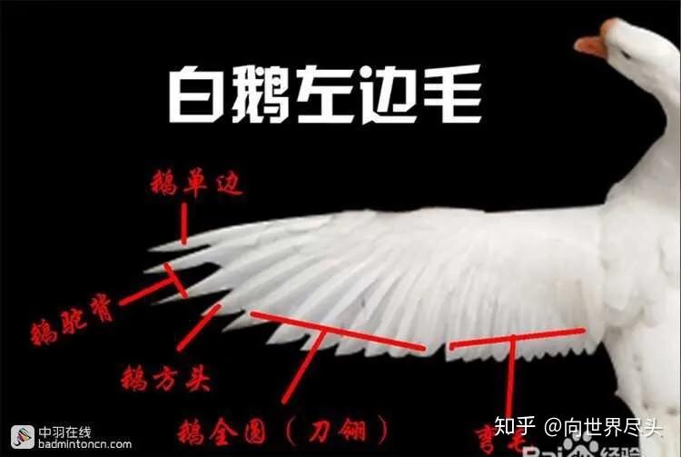 羽毛球怎么选才好价格便宜耐打,羽毛球不是贵的好适合自己的才好