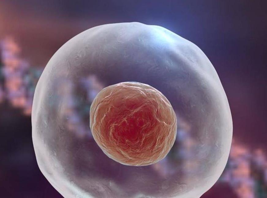 例假的前3后4是什么期,例假走后几天是安全期还是排卵期