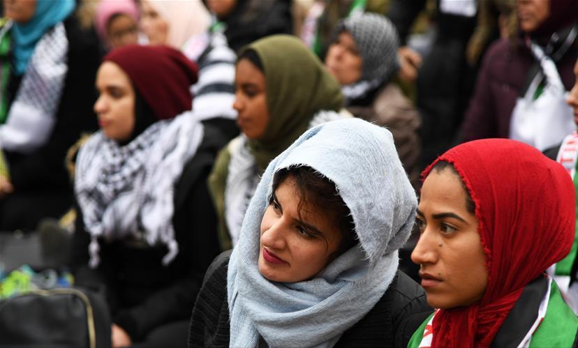 全世界穆斯林的人口变化,欧洲穆斯林人口增长为什么