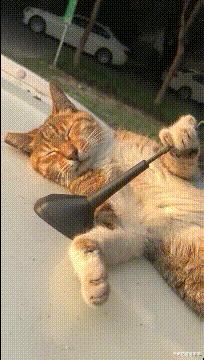 “女友闺蜜深夜约我看海，该注意啥？”