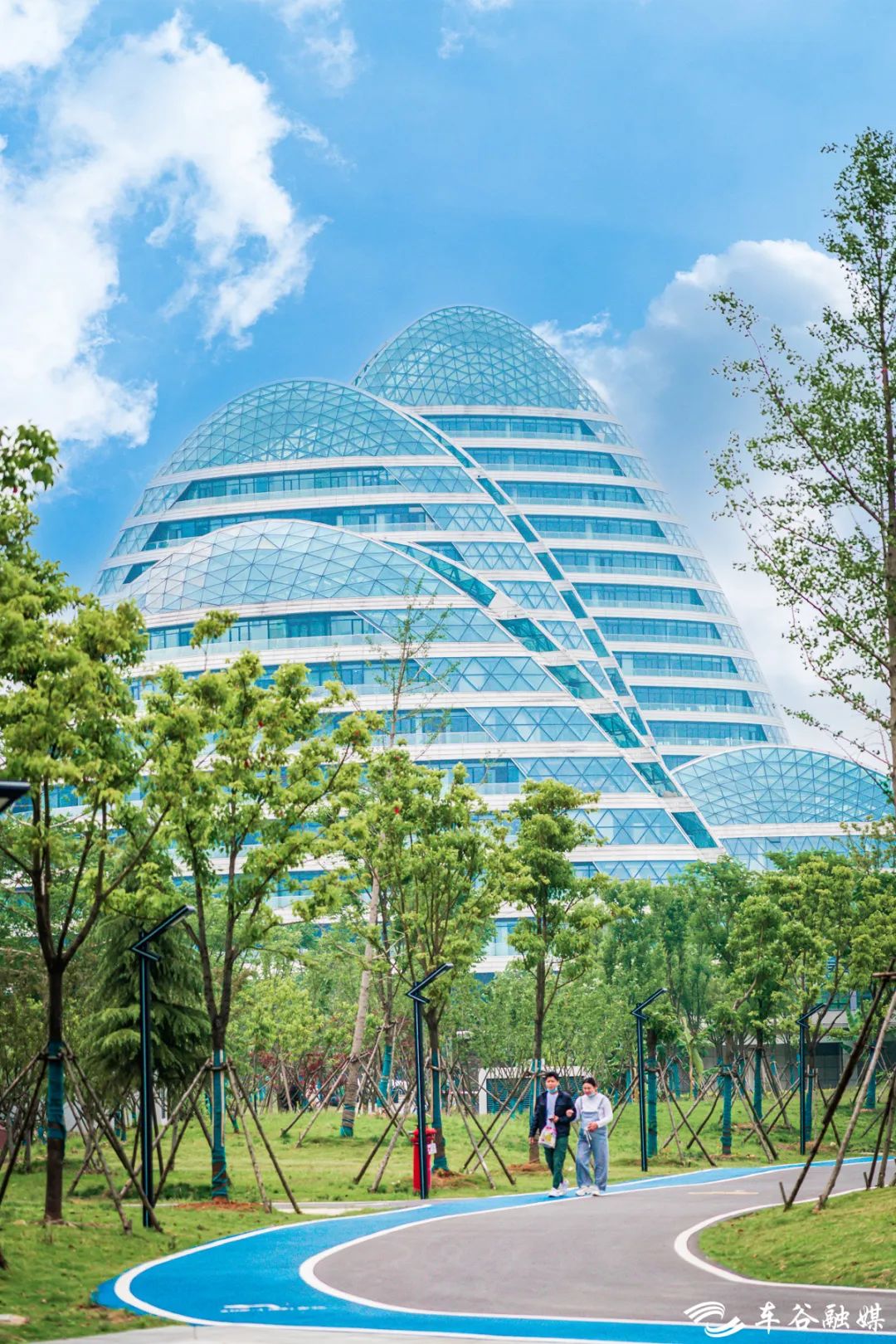 秋日暖阳骑行绿道,骑车绕城绿道值得打卡的推荐