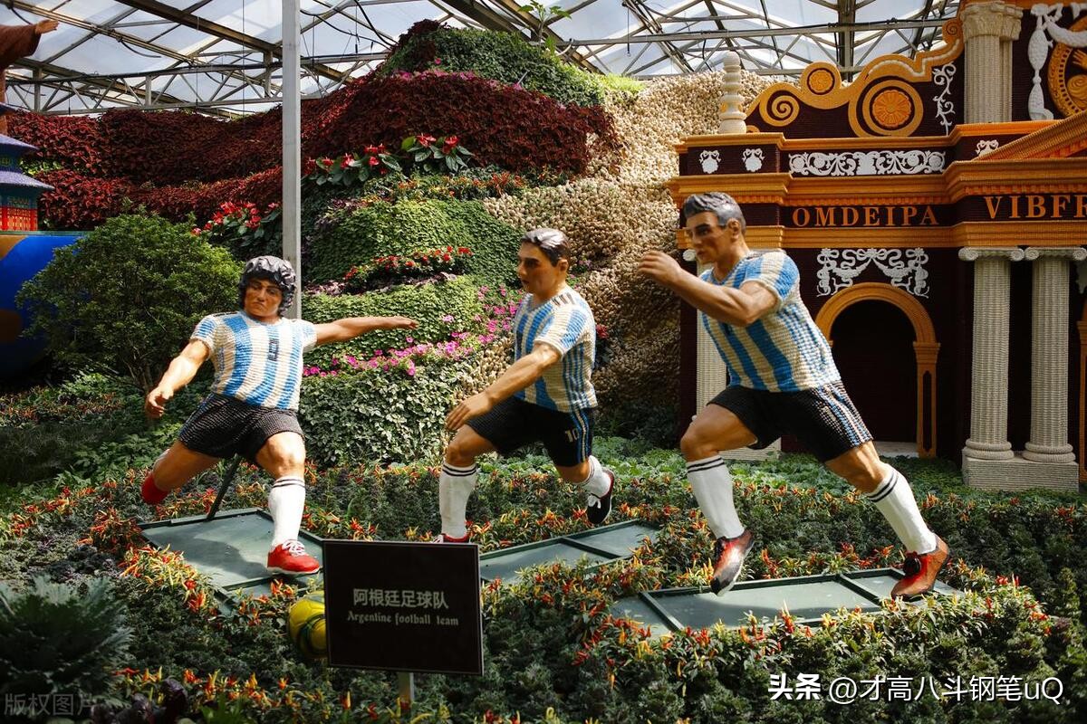 阿根廷中国行热度,阿根廷中国行意义