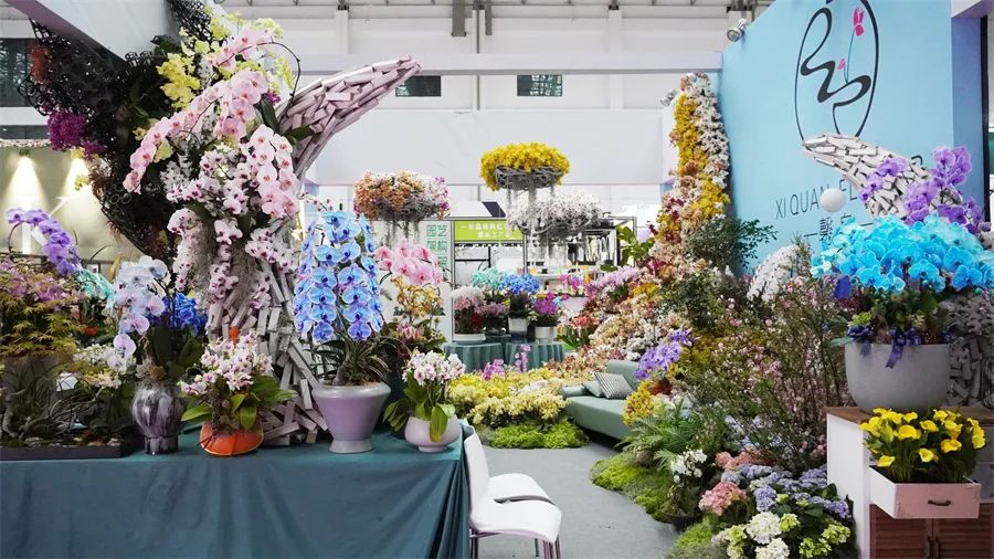 镇店之宝被抢购，“亚洲最美花展”上盆栽“吸睛”又“吸金”