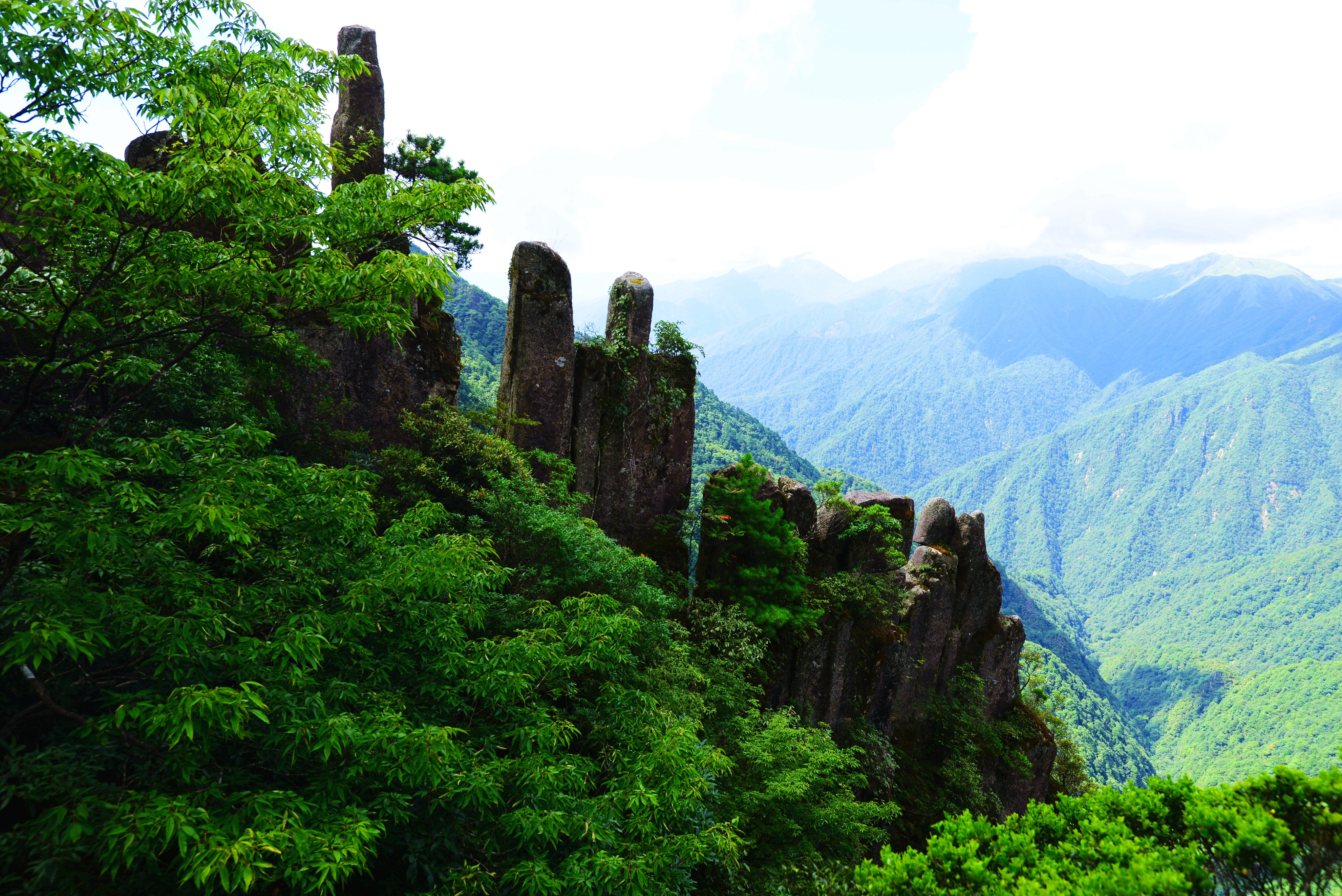 羊狮慕与张家界哪个好,江西明月山和羊狮慕哪个更值得去