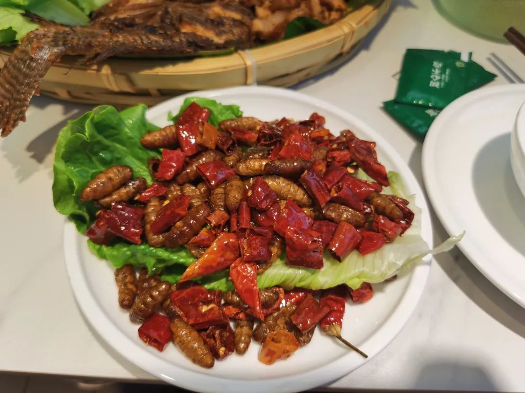 五一假期大理游,五一来啦准备去哪里玩