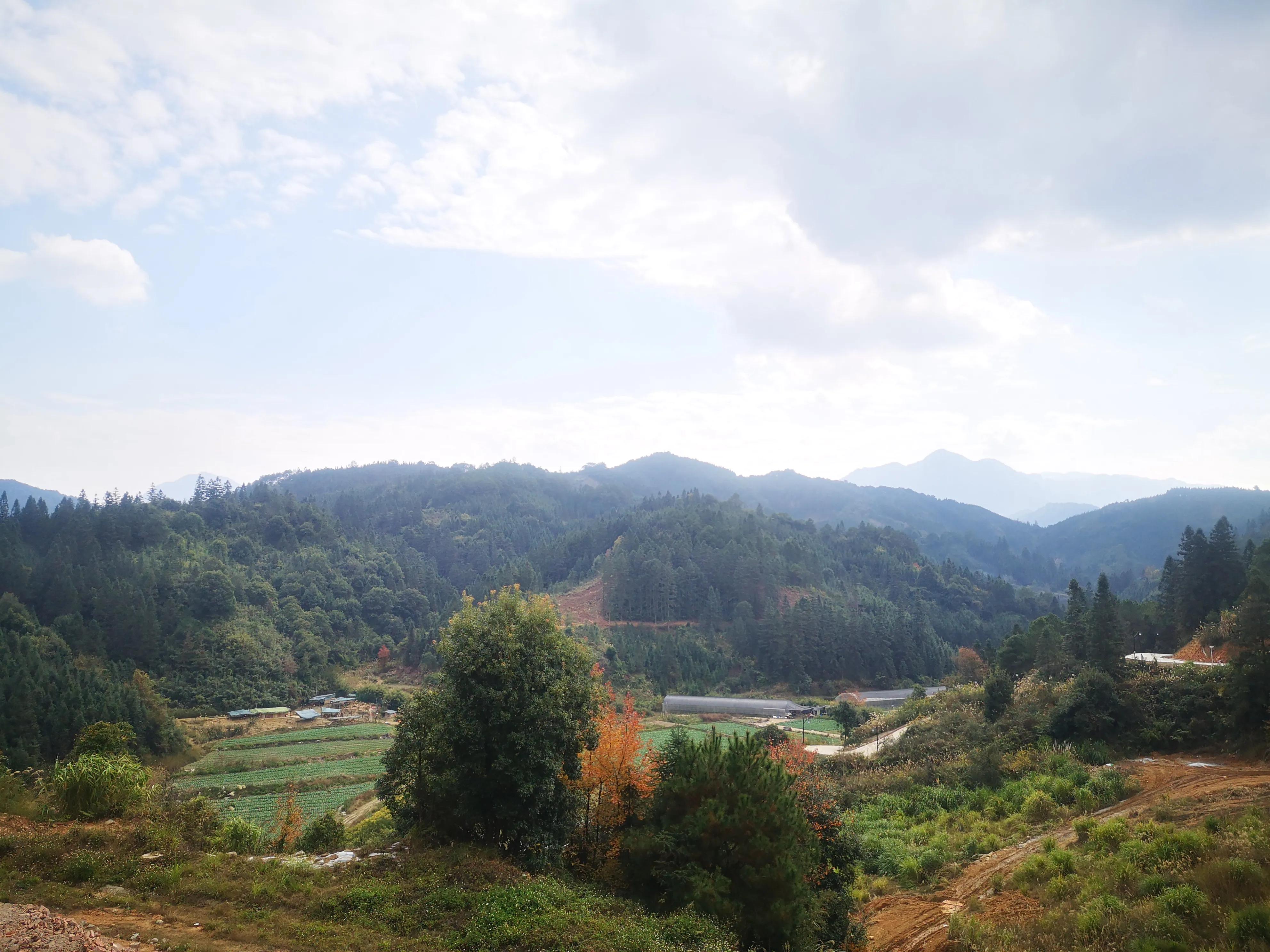 人生过半学会看淡开心,人生过半学会看淡什么歌