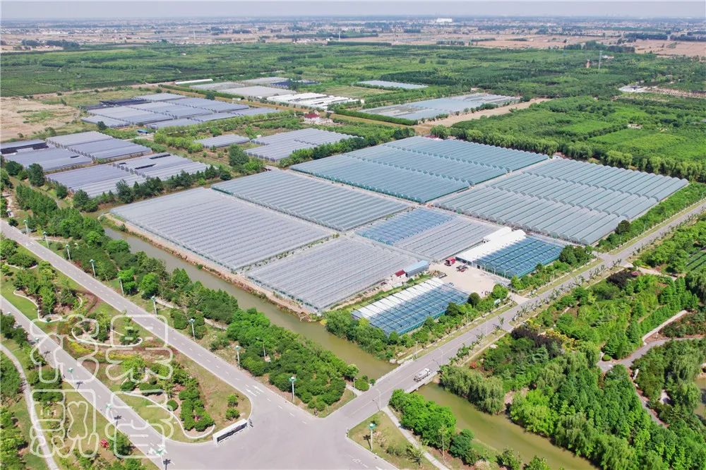 农业创收有妙招,农业应该怎么赚钱