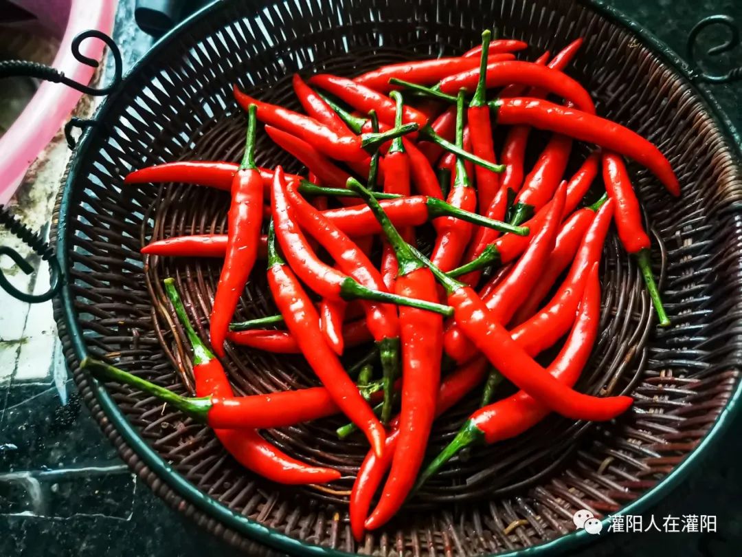 做酸坛子的视频,做酸坛有小气泡