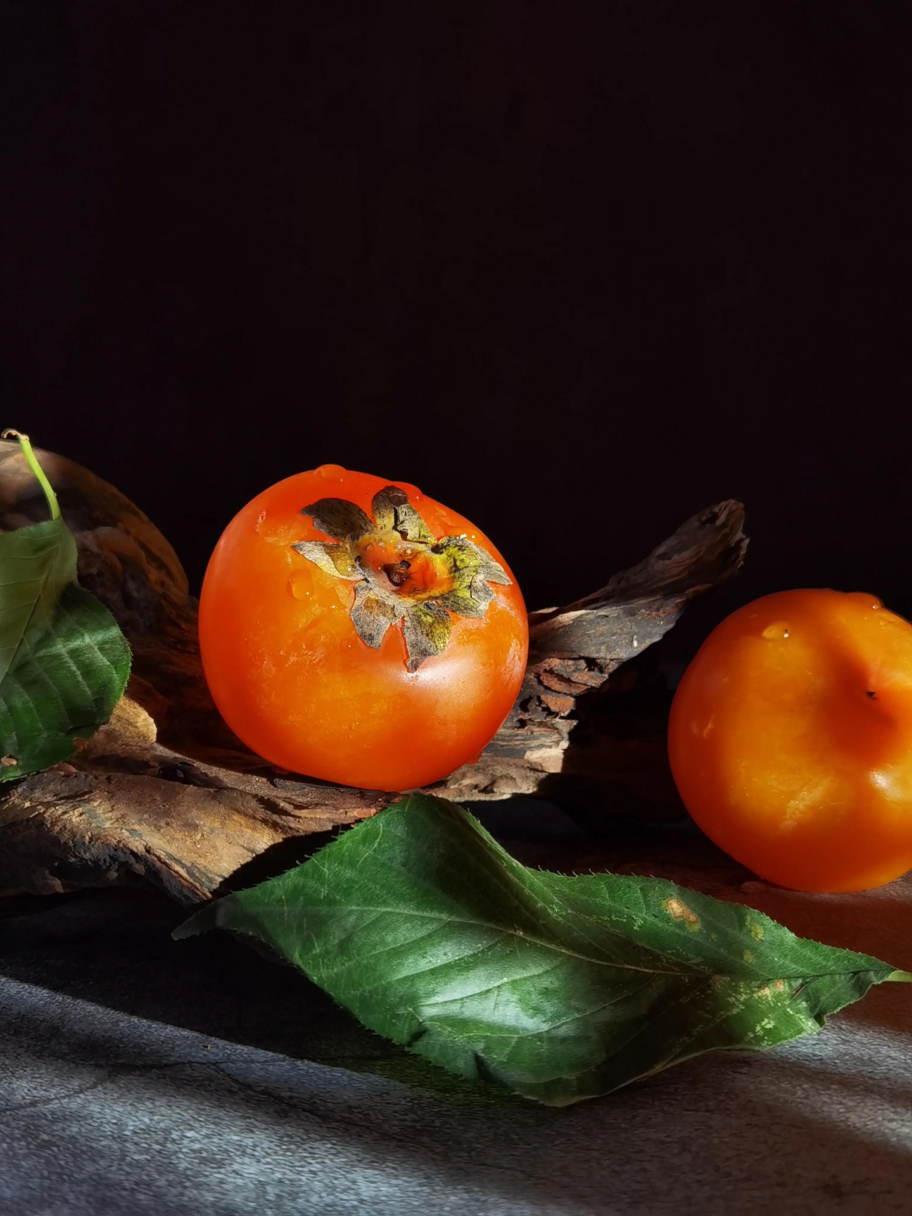 手拍世界手机摄影平台,手拍世界摄影网