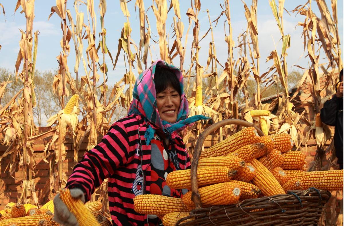 2023年涨价的大宗商品,2023即将涨价的东西