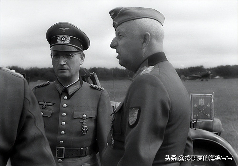 霍尔姆盾章二战德国,二战德国军奖章