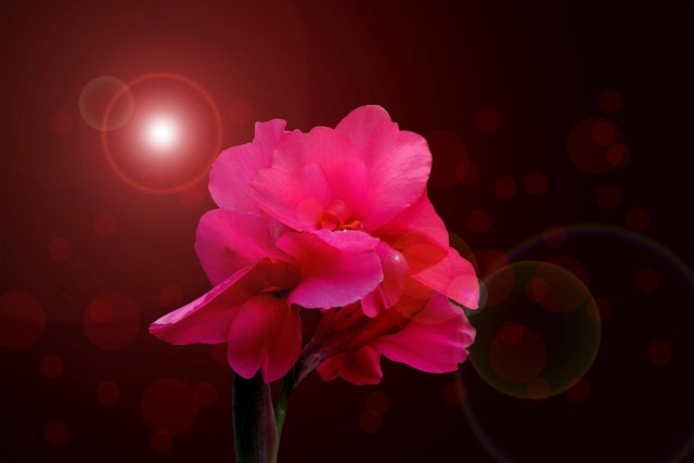 假如老公背叛了你,假如老公背叛要不要问清楚真相