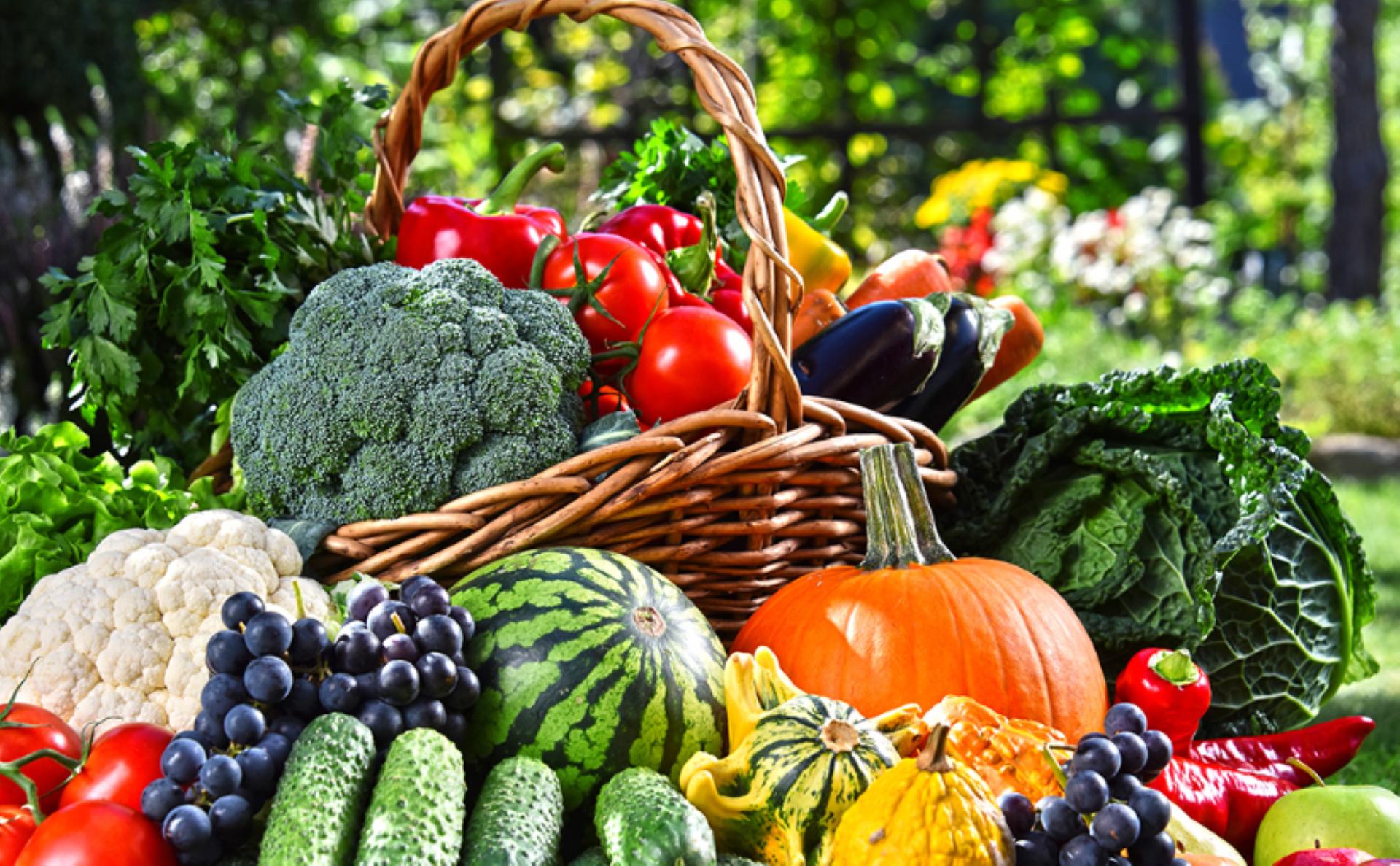 50岁女人最近大便呈绿色怎么回事,为啥我的便便发黑