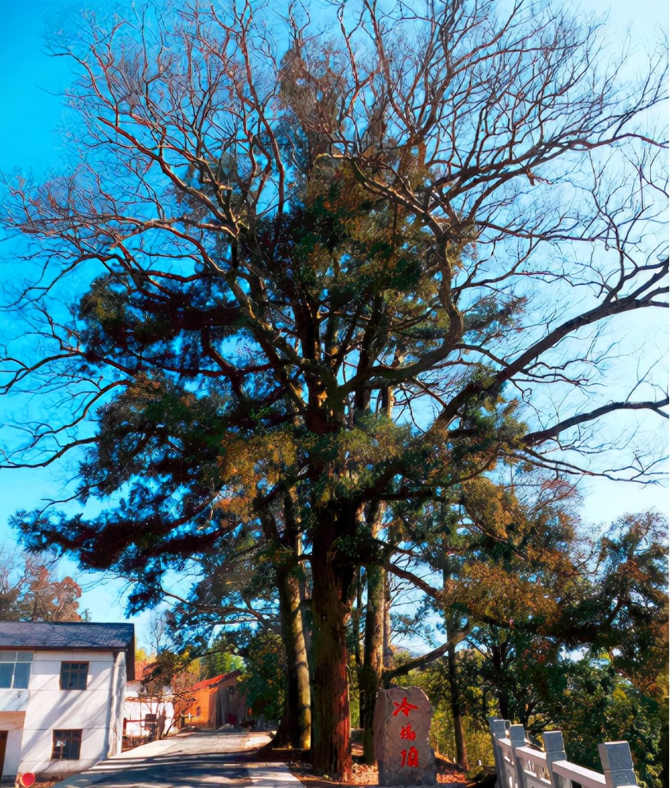 杭州1万一套农村小院出售,杭州农村6000元一年租房