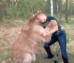 俄罗斯硬核电影现代战争片,俄罗斯十部顶级经典战争片