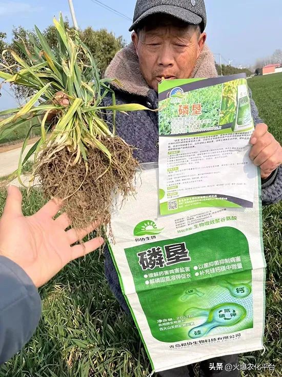 棚里土板结最好的解决方法,大棚土壤板结解决方法