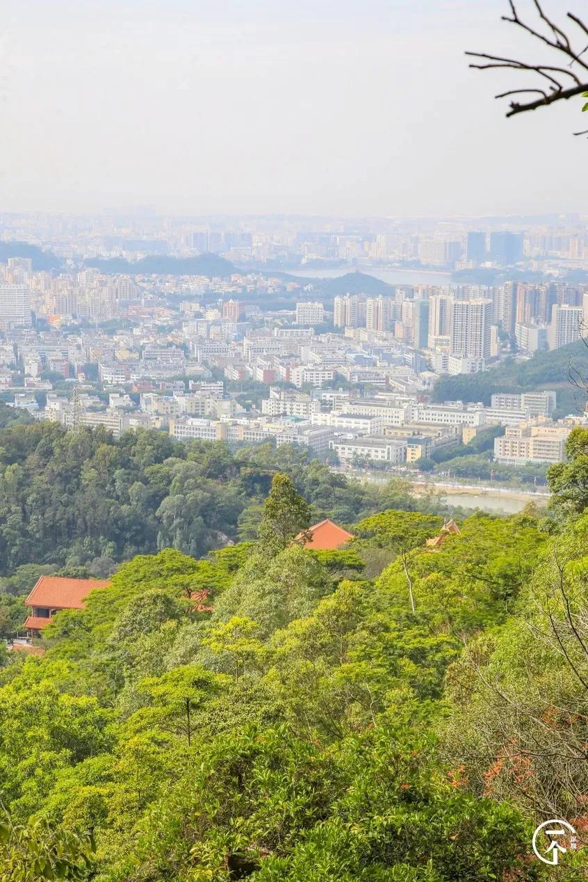 深圳最值得爬的景点,深圳十大最值得爬的山